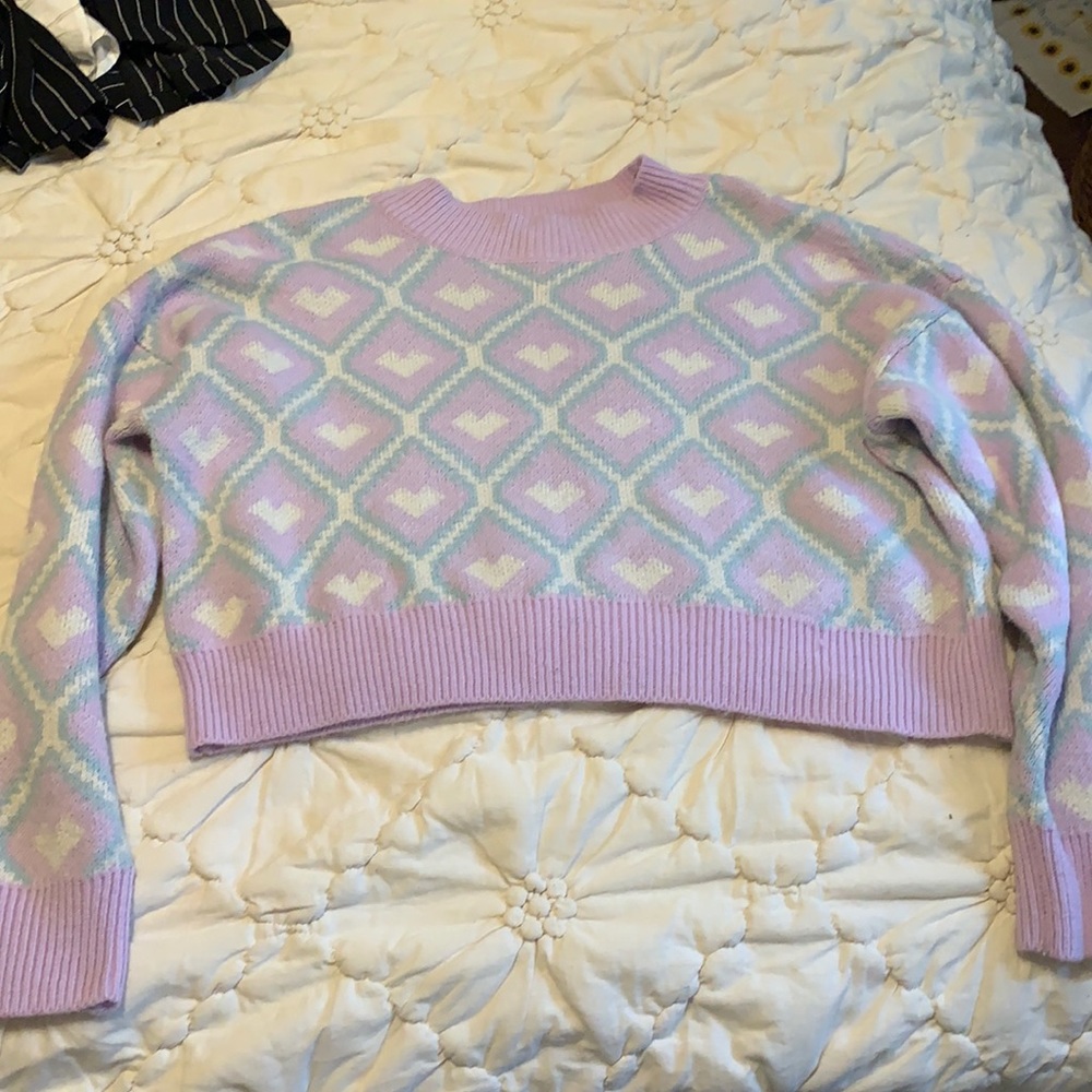 Wild fable sweater